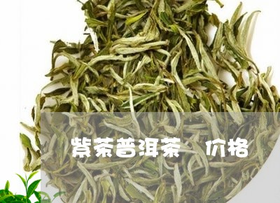 紫茶普洱茶 价格/2023041298370